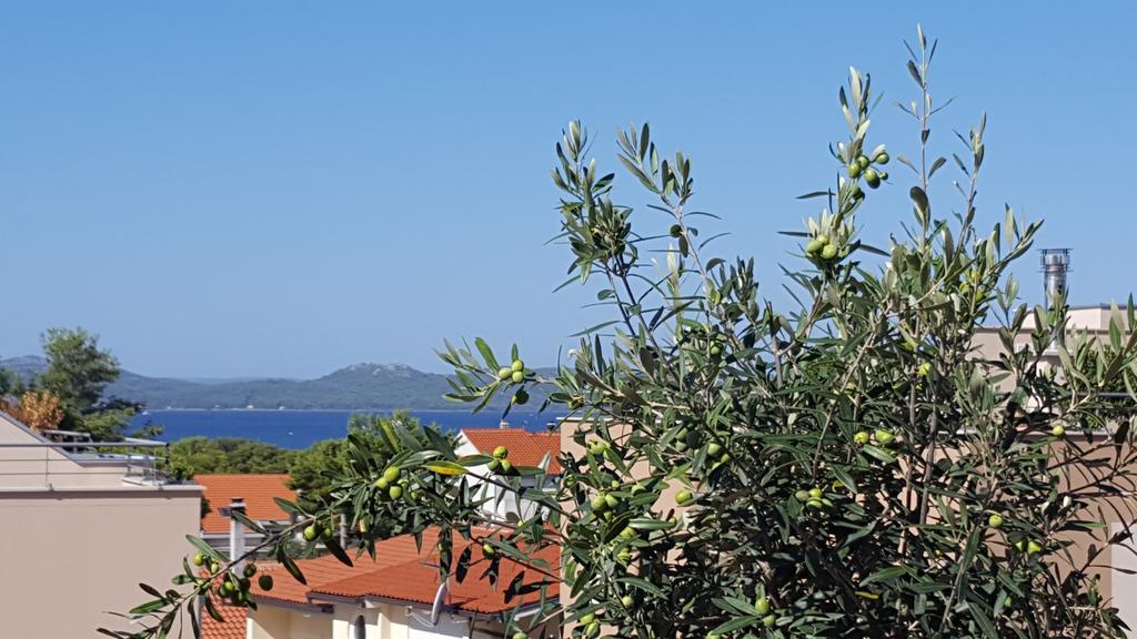 Apartment Garden Terrace زادار المظهر الخارجي الصورة
